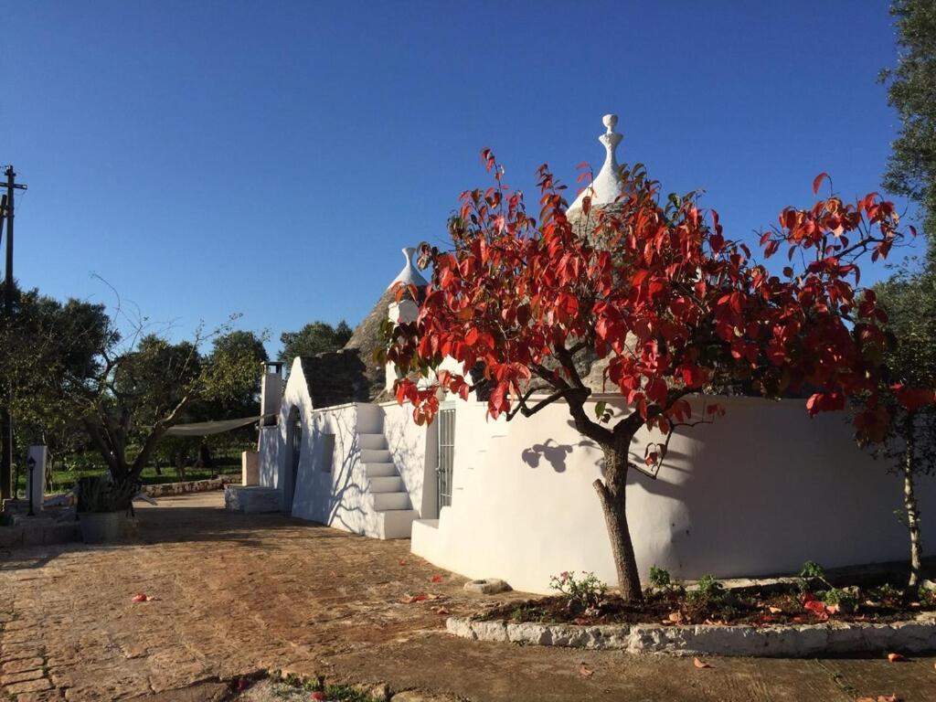 Chateaux Des Trulli 산 미켈레 살렌티노 외부 사진