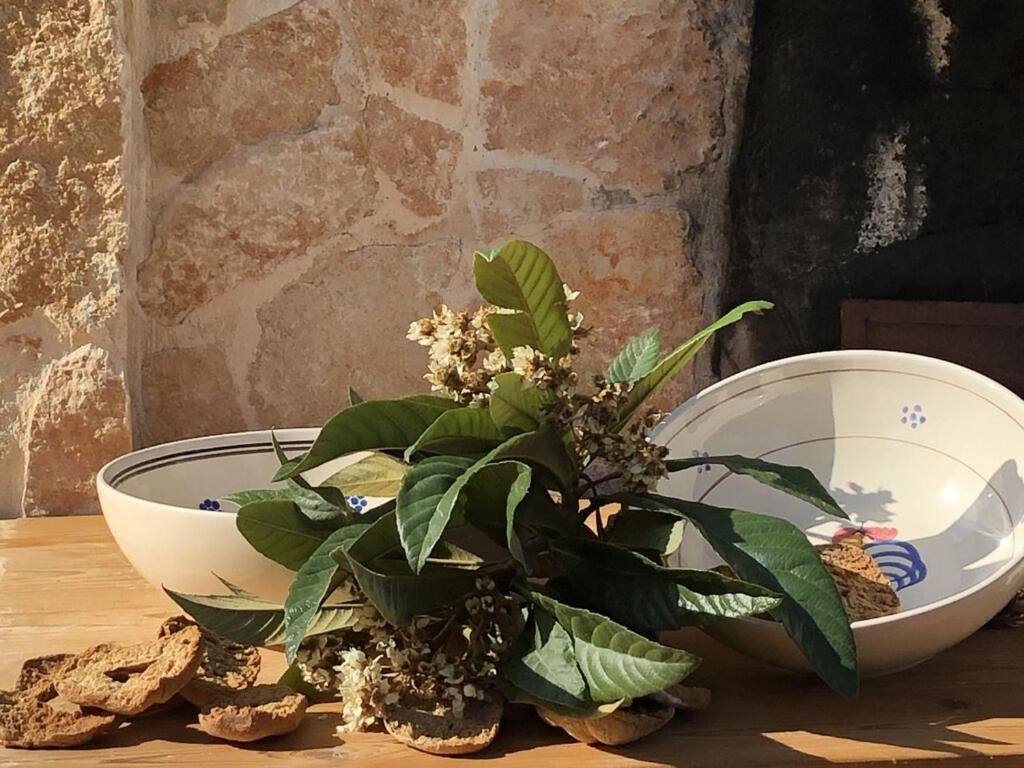 Chateaux Des Trulli 산 미켈레 살렌티노 외부 사진