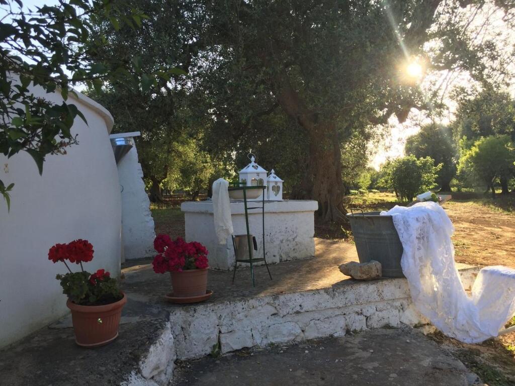 Chateaux Des Trulli 산 미켈레 살렌티노 외부 사진